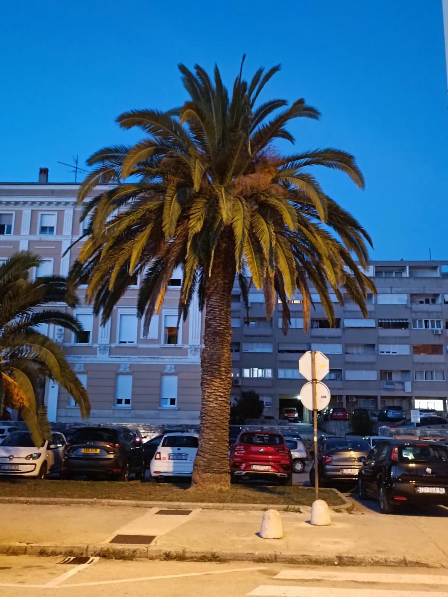 Zadar Beach Apartments 외부 사진